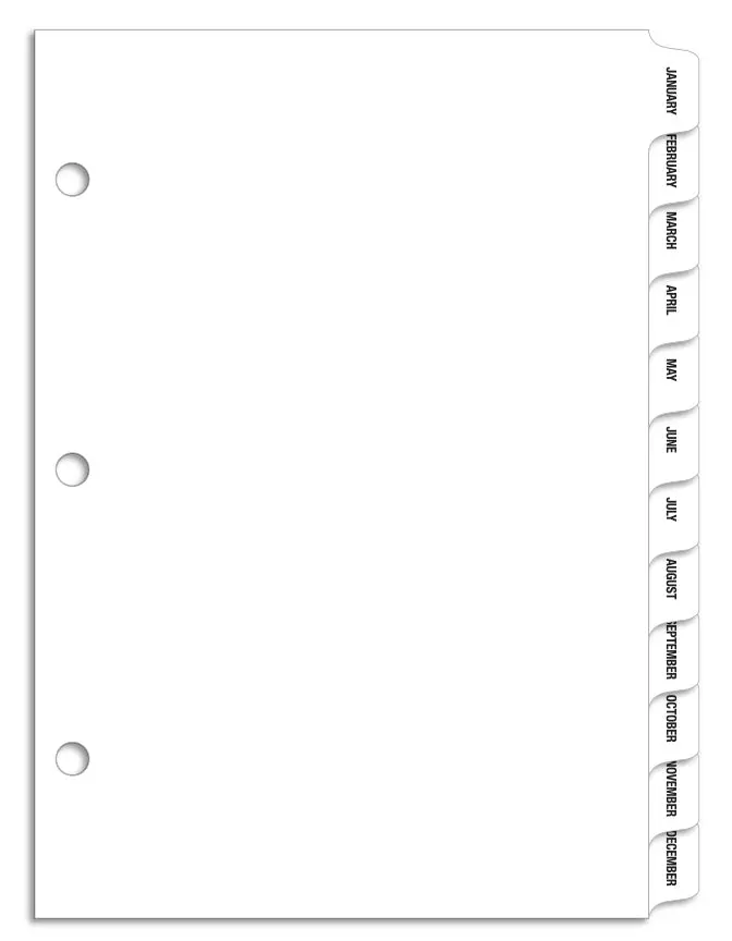 Month Divider Set With Pre-Printed January To December Tabs – Durable Monthly Filing Dividers With Reinforced Tabs – Heavy-Duty 3-Hole Punched Index Dividers For Office, Automotive Workshop & Binder Organization 1