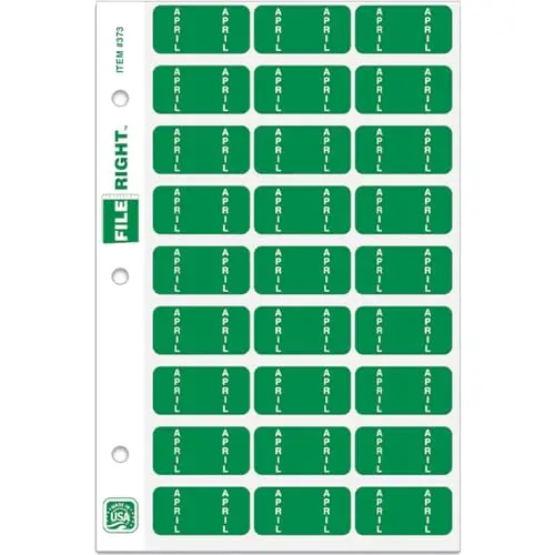 File Right Month Labels Ringbooks Set – 270 Color-Coded Month File Labels (Jan To Dec) – 1-1/2" × 3/4" Durable Adhesive Premium Labels For Automotive Workshops & Office Document Management 1