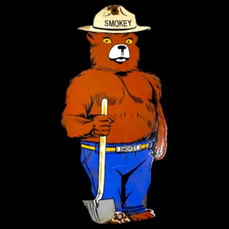 Smokey The Bear Die Cut Porcelain Vintage Metal Sign 1