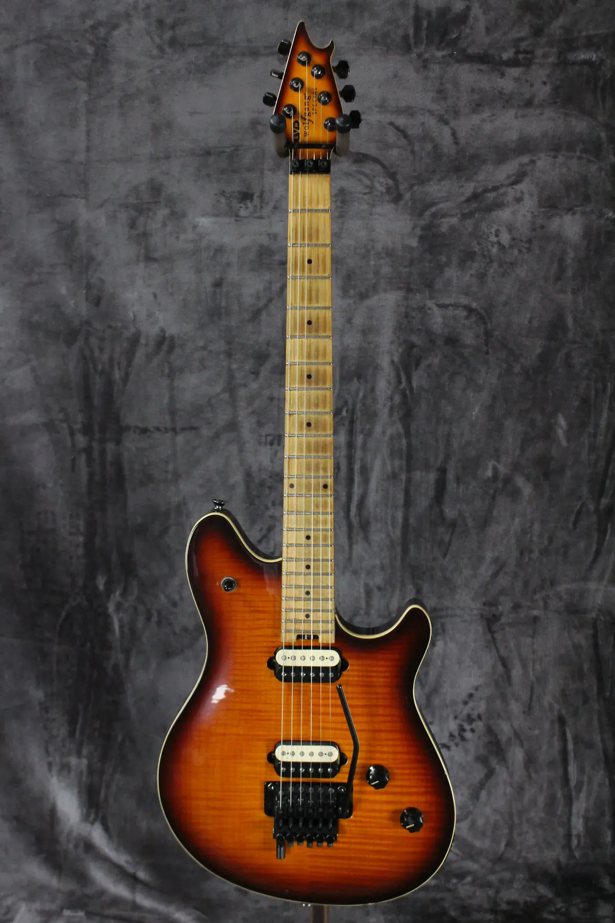Evh Wolfgang Special 1