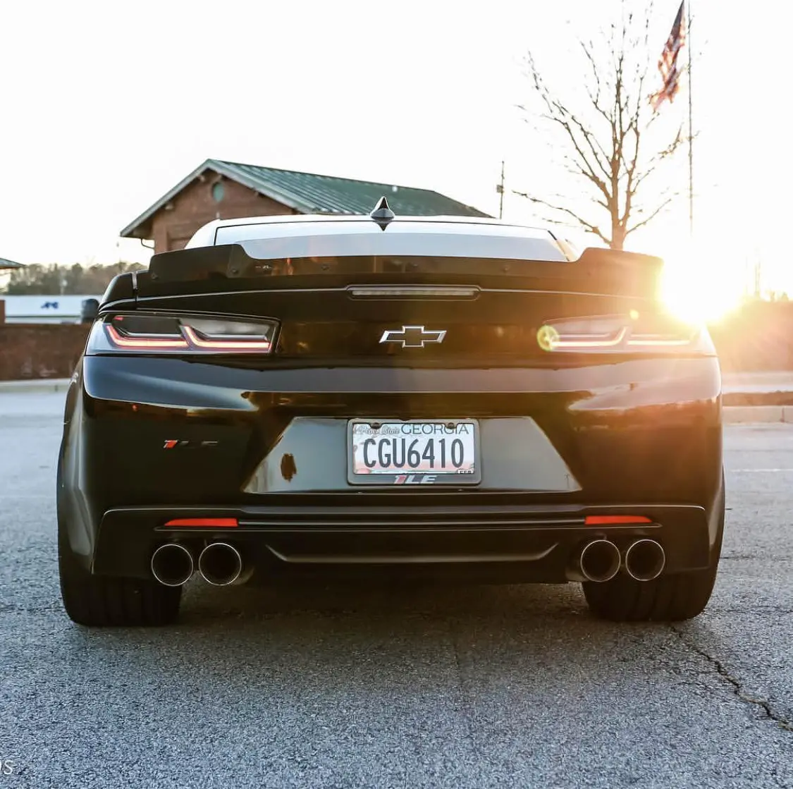 Camaro 2010-2024 Blade Wicker Bill 1