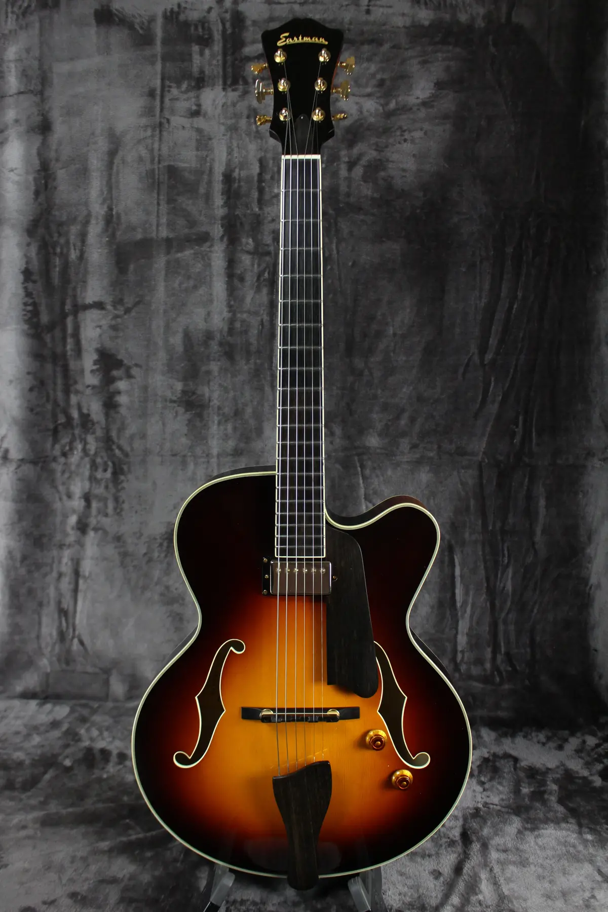 2010 Eastman Ar503ce 1