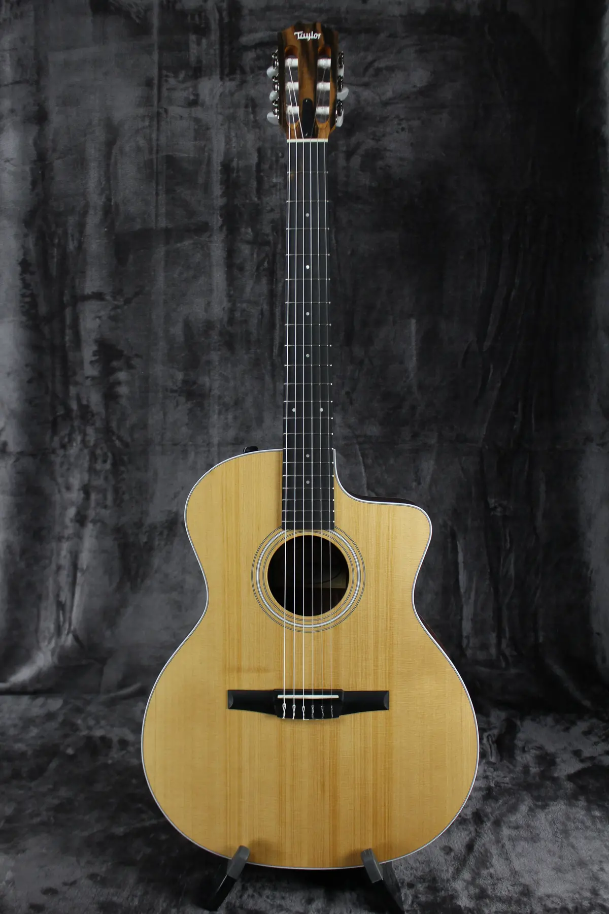 2023 Taylor 214Ce-N 1