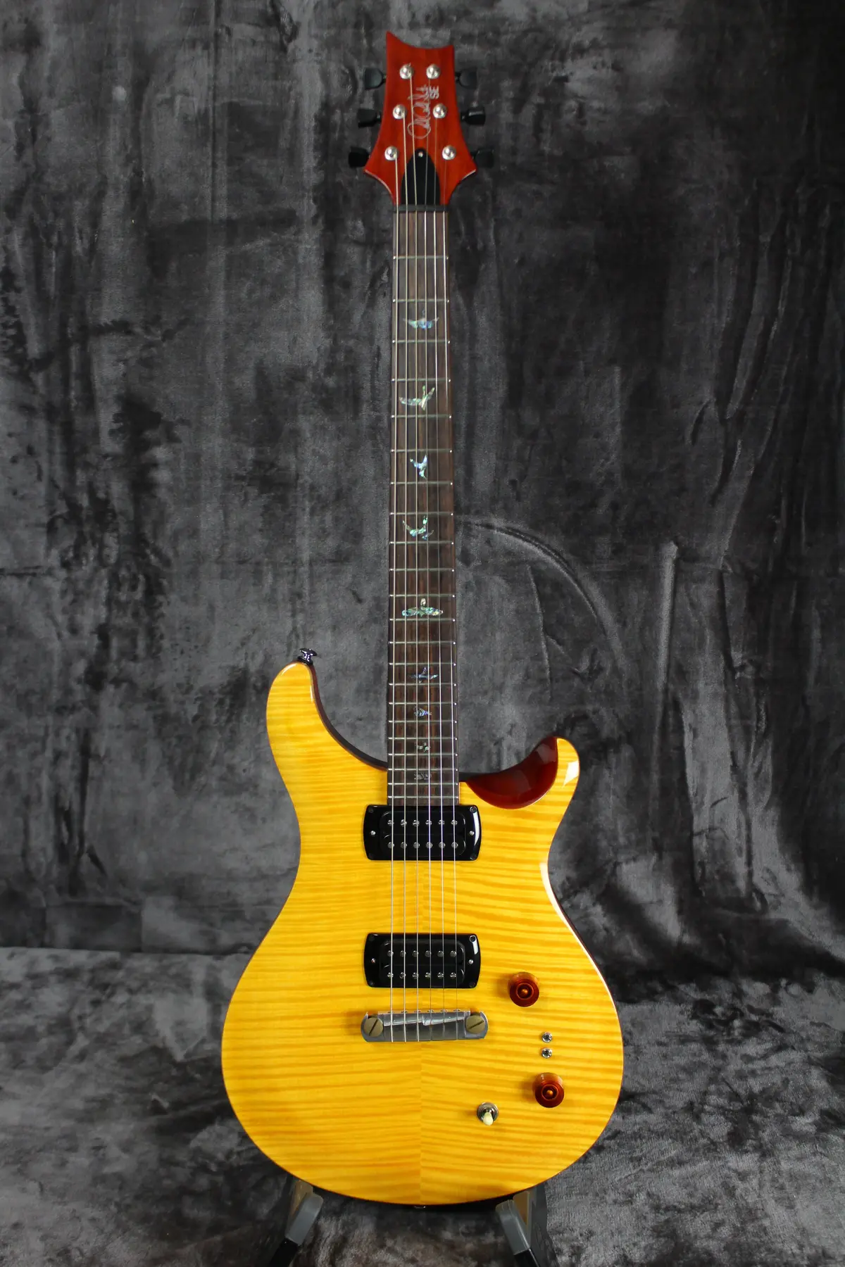 Paul Reed Smith Prs Se Paul's Guitar 1