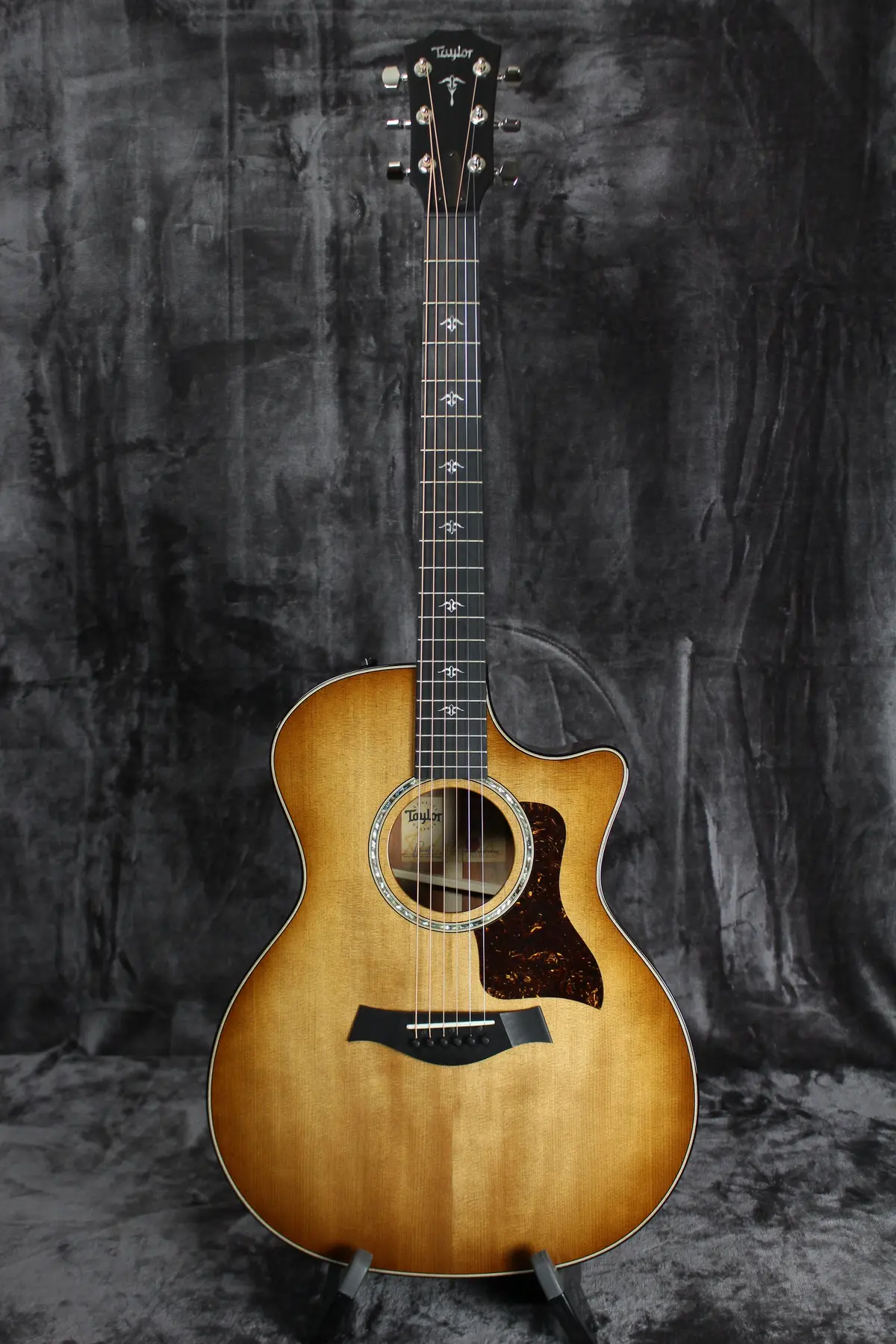 2023 Taylor 514Ce Grand Auditorium Urban Ironbark 1