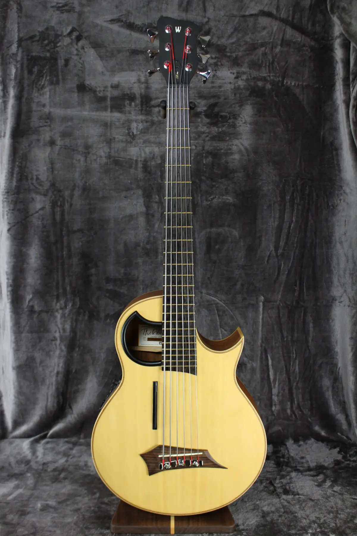 Warwick The Alien 6 String Acoustic Bass 1