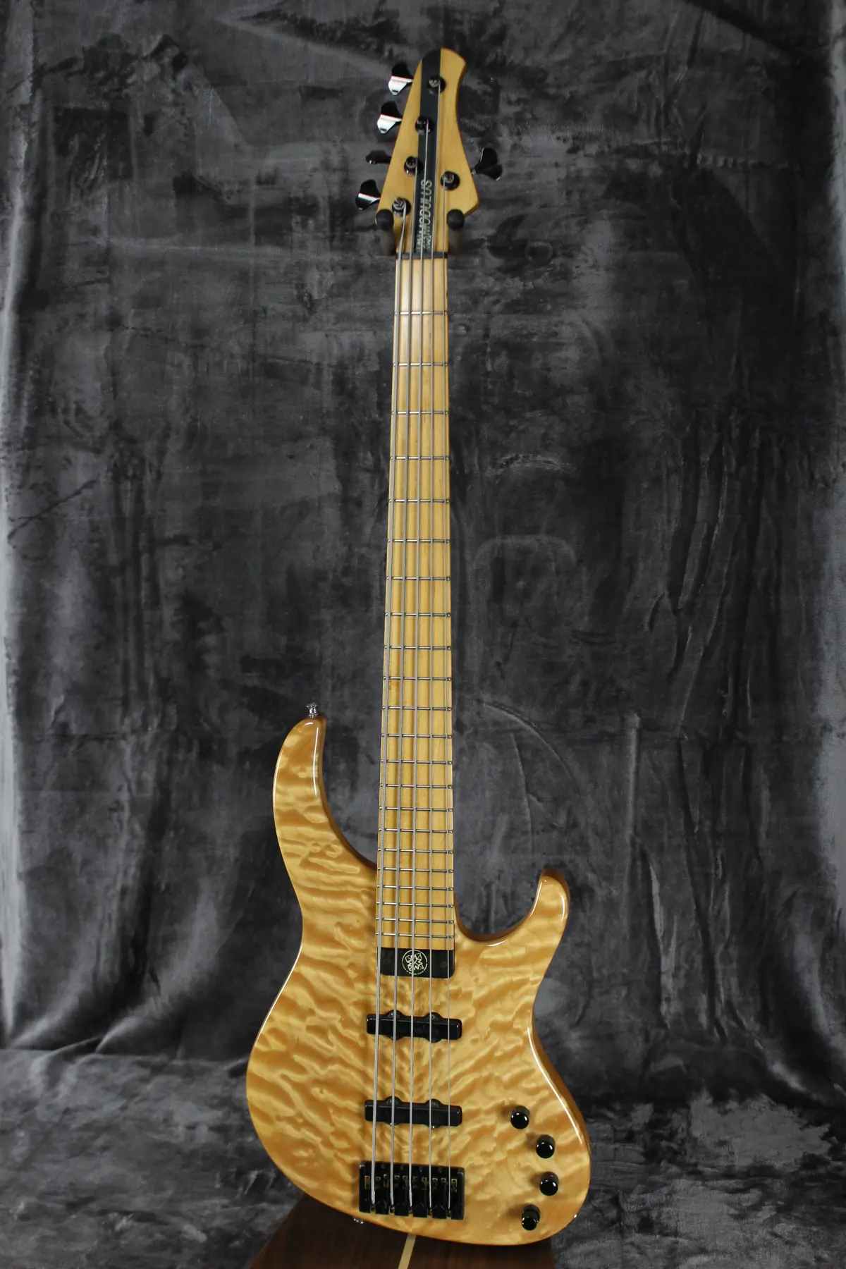 2001 Modulus 5-String Genesis Bass 1