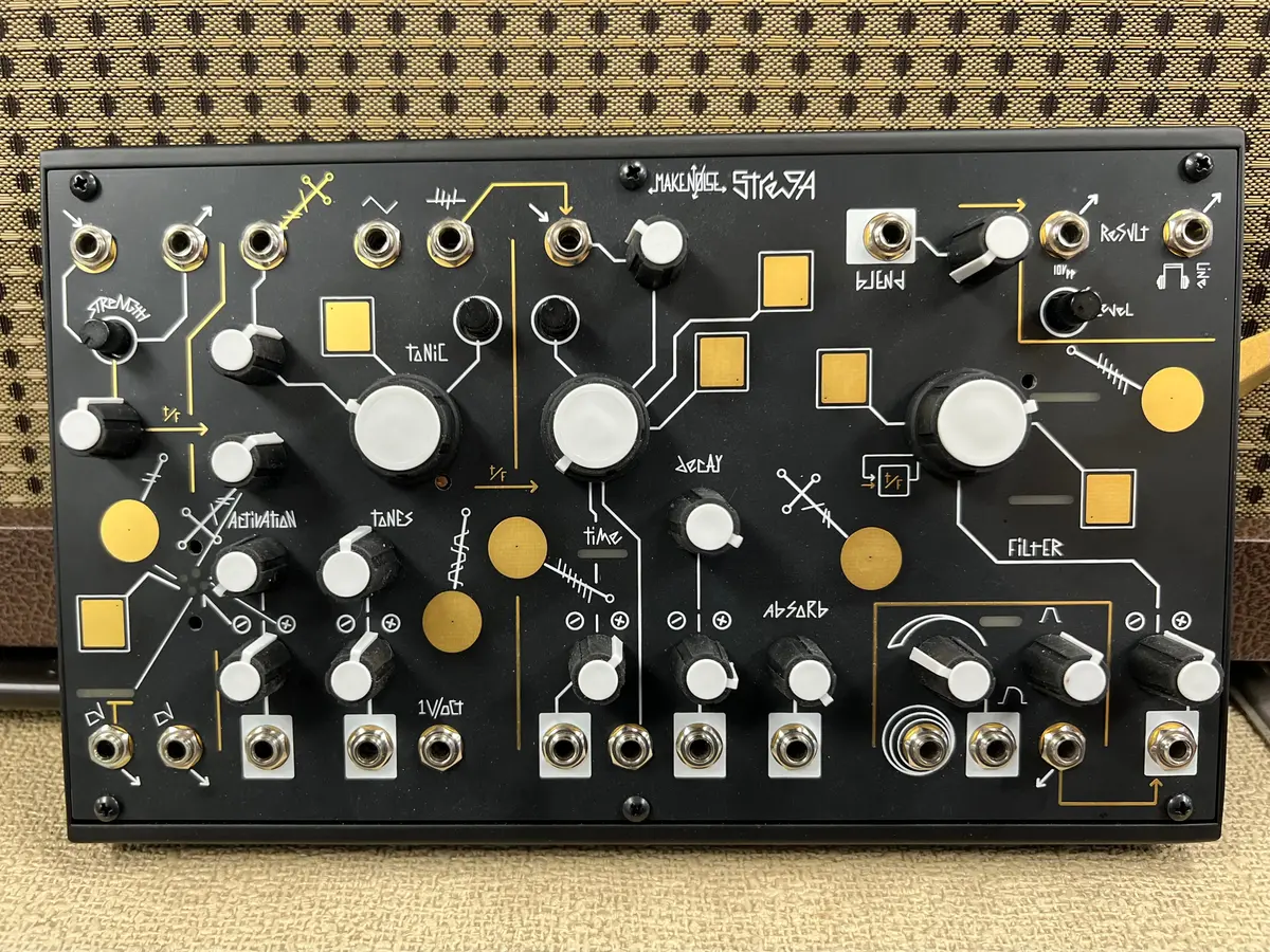 Make Noise Strega 1