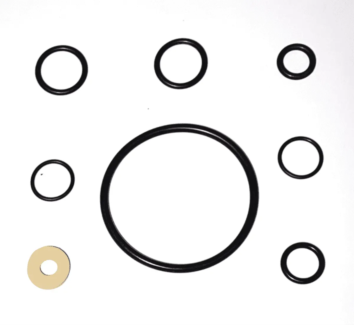 O-Ring Gasket Repair Kit, Santo (Parts 5+8+25+27+31) 1
