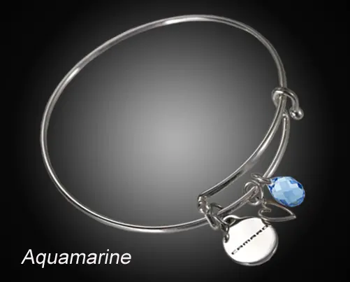Camaro Logo & Crystal Charm Bracelet 4
