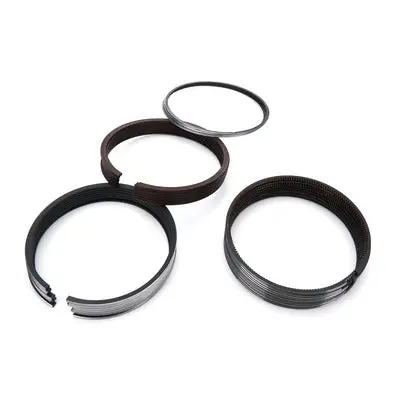 Total Seal Ts Gapless Piston Ring Set Ford 6.4L Diesel 3.886 1