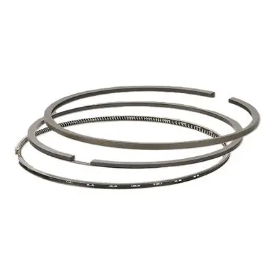 Total Seal Ts Gapless Piston Ring Set Ford 6.4L Diesel 3.866 1