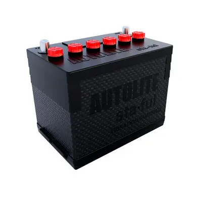 Turbo Start Restoration Battery Ford Lithium 60-73 12-Volt Lt-S24f 1