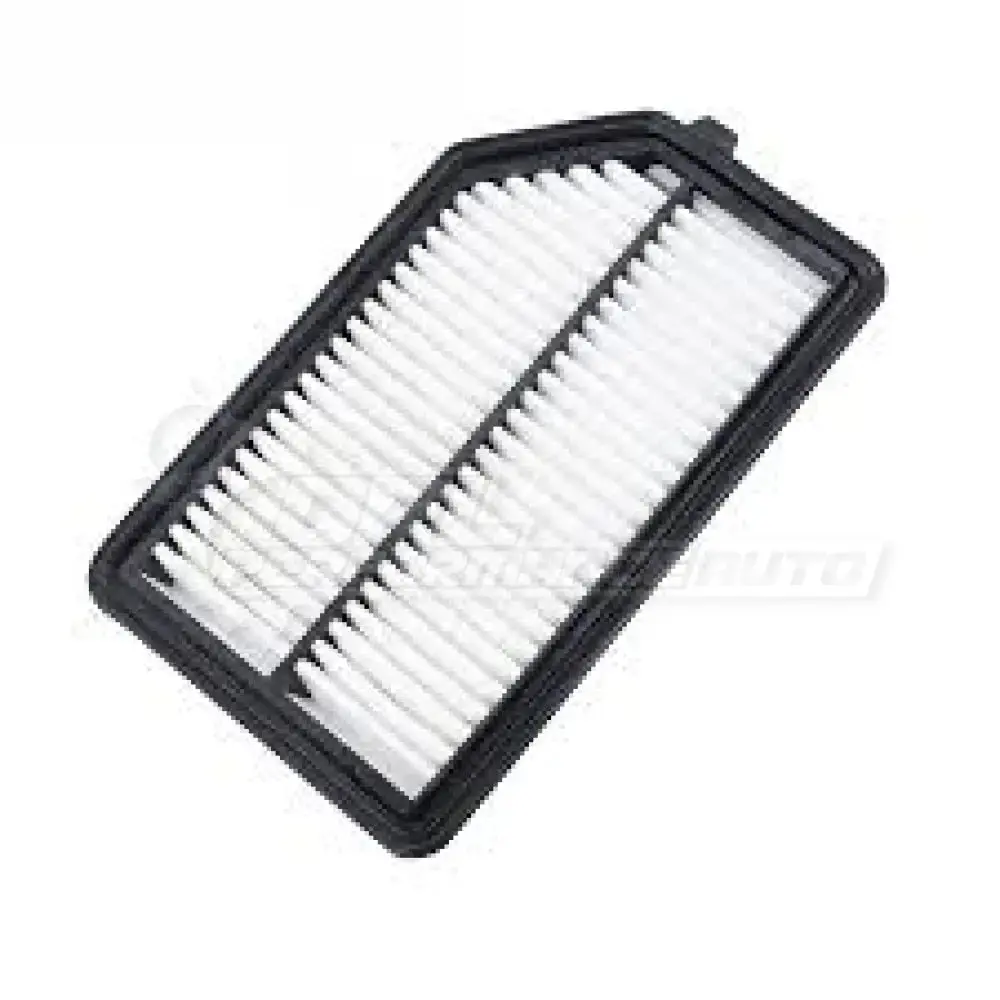 Air Filter Honda City Cng (Gm6) 1