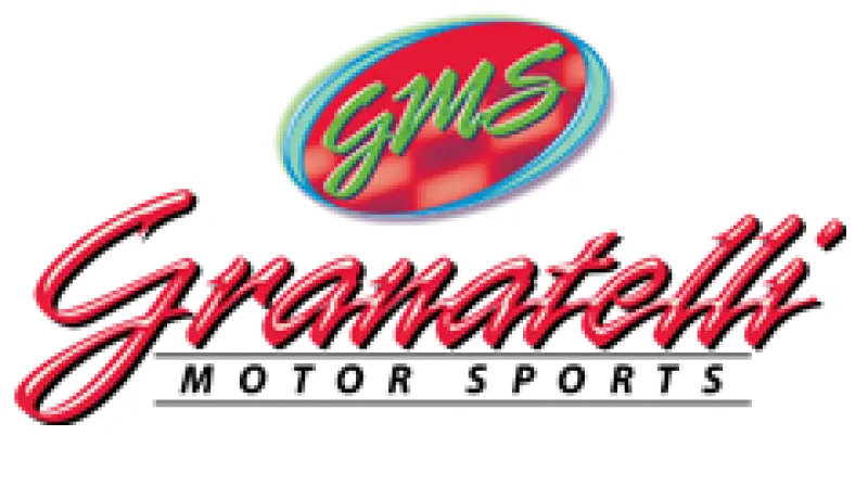 Granatelli Motor Sports 2010-2018 Chevrolet Camaro 5Th-6Th Gen Granatelli Gm Ls1 Ls2 Ls3 Ls4 Ls5 Ls6 Ls7 Ls9 Lsa Malevolent Coil Packs Black (Set Of 8) 1