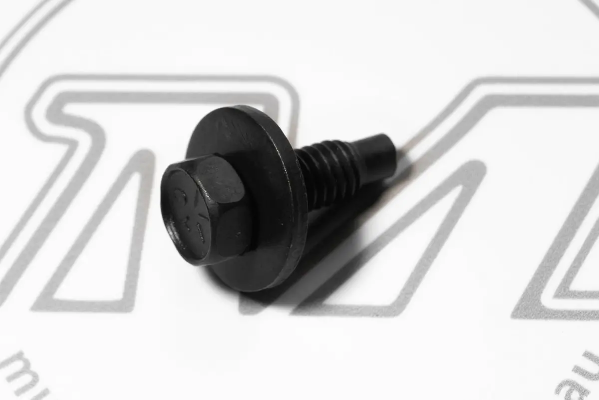 Body Bolt Black 5/16" 1