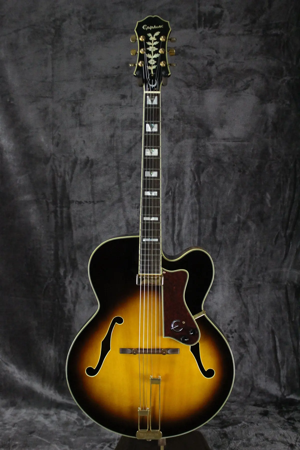 2004 Epiphone Emporer 1