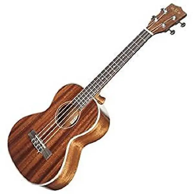 Kala Ka-Tg Tenor Gloss Ukulele Natural 1