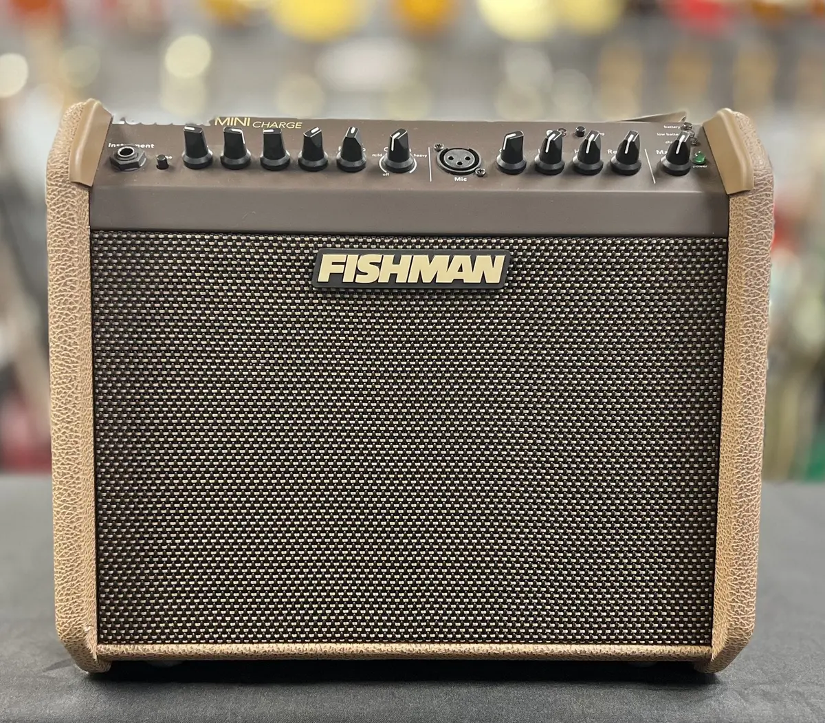 Fishman Loudbox Mini Charge Acoustic Guitar Amp 1