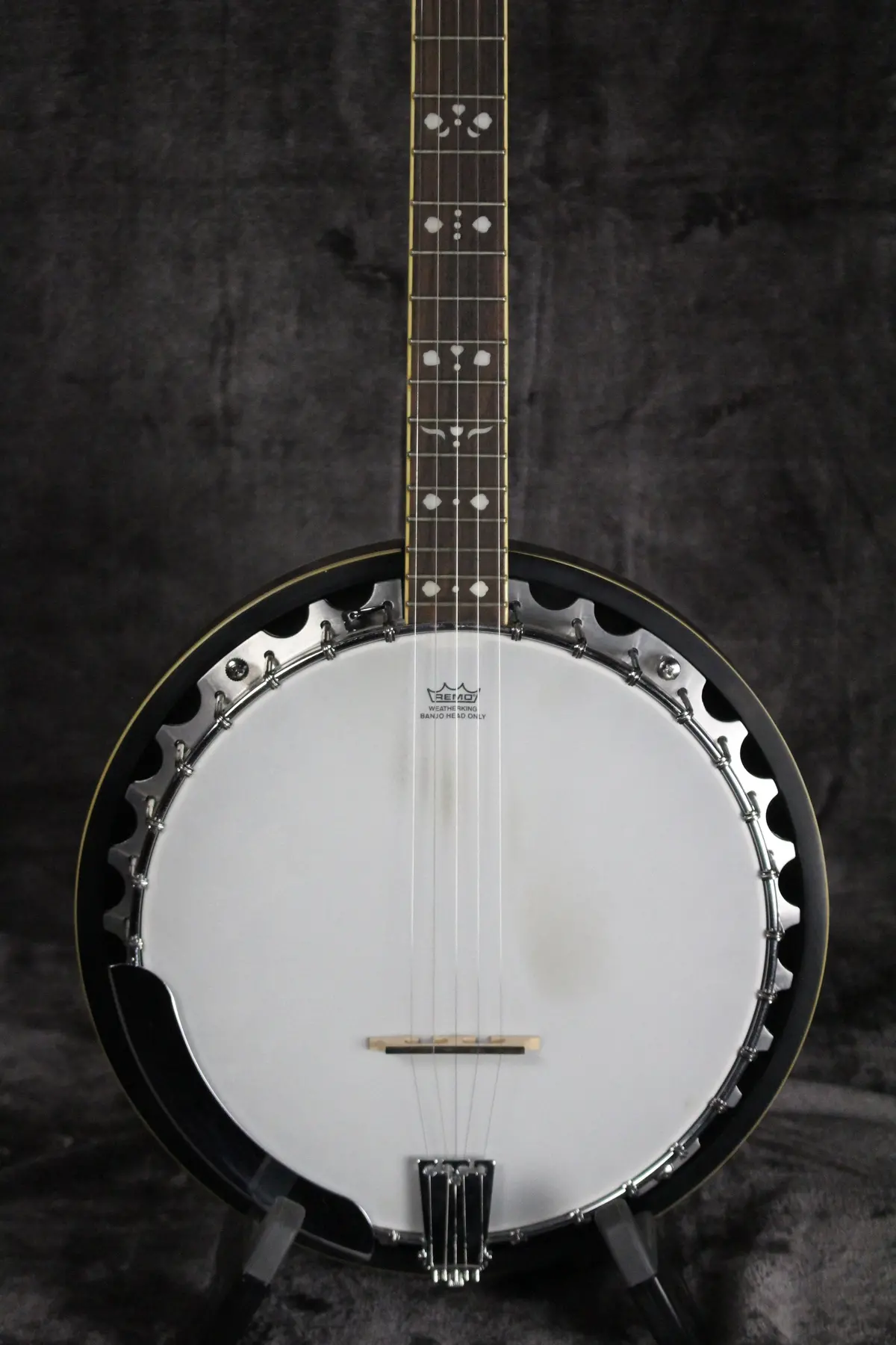 2012 Epiphone Mb-200 Banjo 2