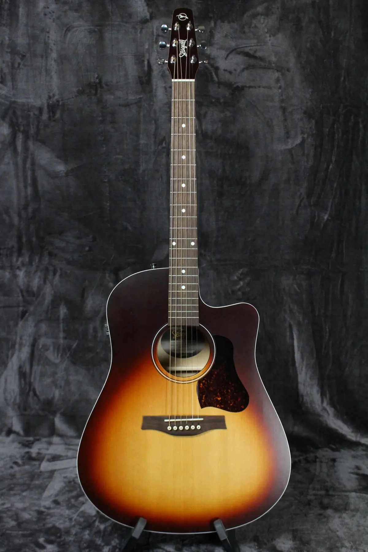 Seagull Entourage Cw Qit 1