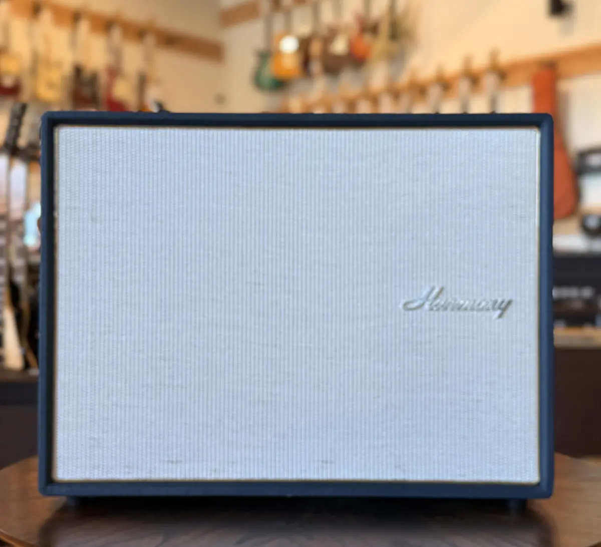 Harmony H560 Combo Amp 1