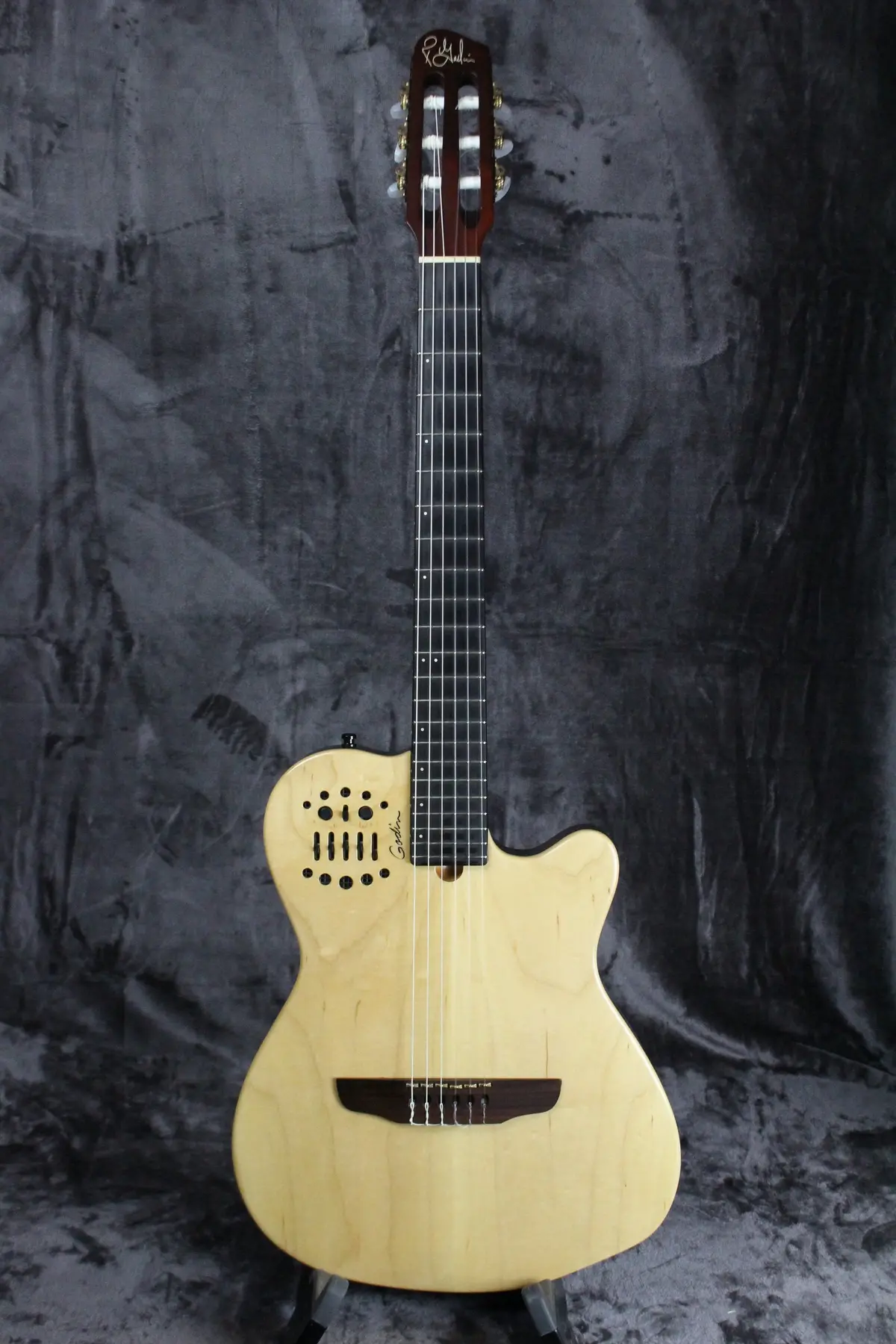 Godin Multiac Acs Sa 1