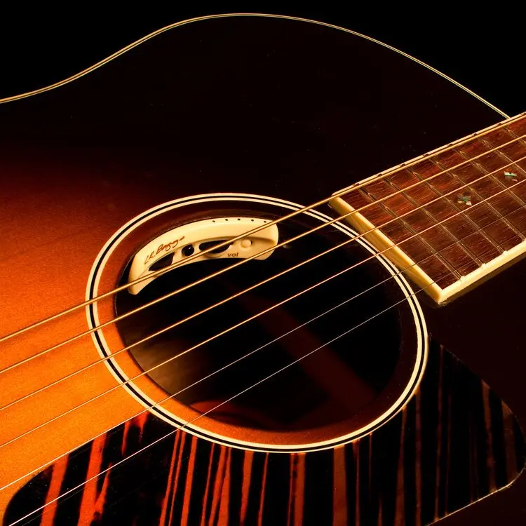 Lr Baggs Anthem Tru-Mic Acoustic Soundhole Microphone/Undersaddle Pickup * Acoustic Guitar Pickup 1