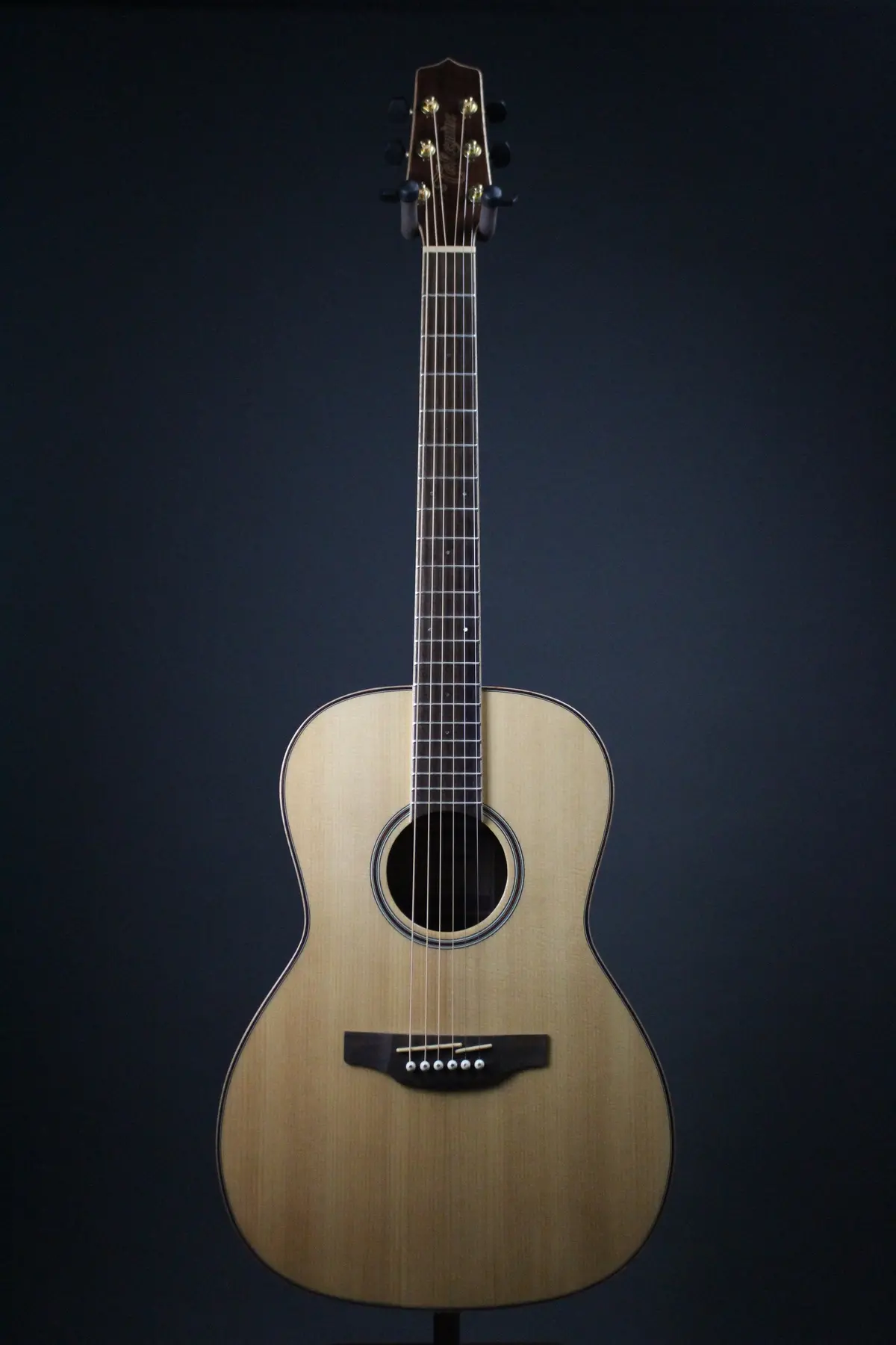 Takamine G493 Parlor Acoustic 1