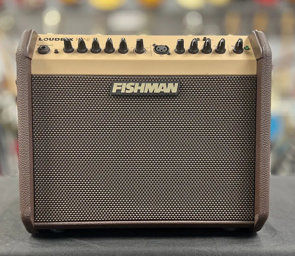 Fishman Loudbox Mini Acoustic Guitar Amp 1