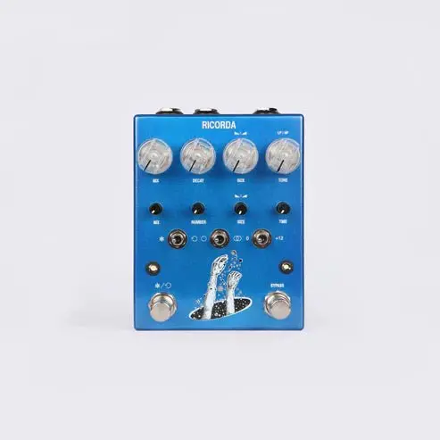 Ac Noises Ricorda (Stereo Granular Reverb + Freeze/Loop) *Free Shipping In The Us* 1