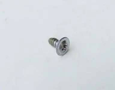 Wheel Arch Mould Screw 1
