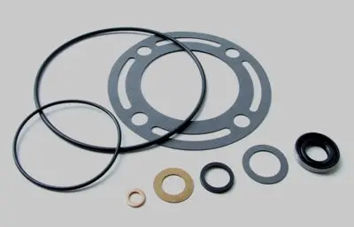Power Steering Pump Seal/Gasket Kit Ford 1